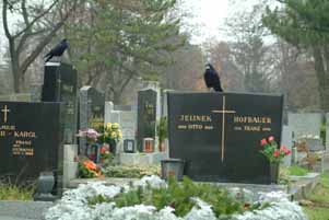 162 November, Zentralfriedhof, Wien